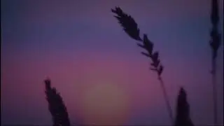 (FREE) Freestyle Type Beat | BS - Color Rage [2020]