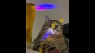 trying to have a good time!