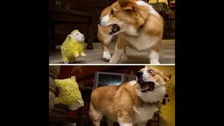 Anjing lucu AKHIR TAHUN 2021  cute dog complications /video anjing lucu