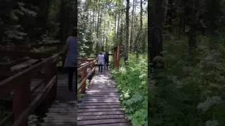 Идём на столбы, красноярск