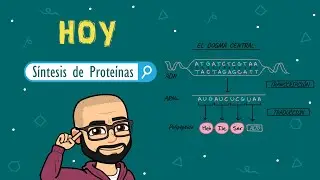 Síntesis de proteínas