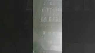 залповый ливень южный урал