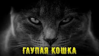 ГЛУПАЯ КОШКА. Индийская народная сказка.