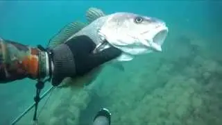 Подводная охота в Кабардинке 2013г.ч.6,