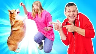 Как выгуливать собаку? Смешное видео для детей с корги Альфом про дрессировку собак!