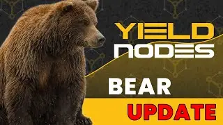 How Yield Nodes Handled a Bear Market?
