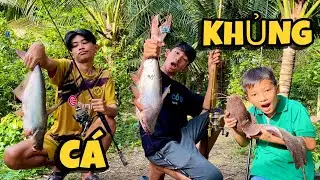 Câu Cá Trê Khủng Bằng Cần Câu Máy Đại Chiến