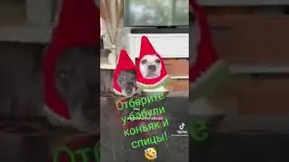 отберите у бабули  коньяк и спицы