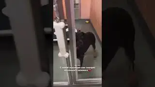На эти глаза💔 