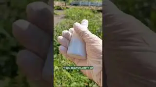 Не используйте химические препараты. 