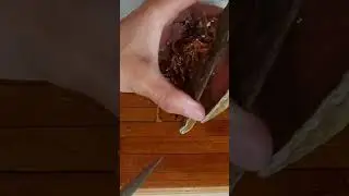 Иду на Море собирать ..