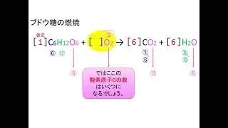 化学反応式の作り方〜ブドウ糖の燃焼.mp4
