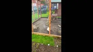 Hühnerstall / chicken coop