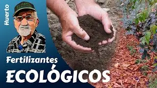 Fertilizantes ecológicos del huerto familiar