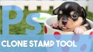 Photoshop Clone Stamp Tool