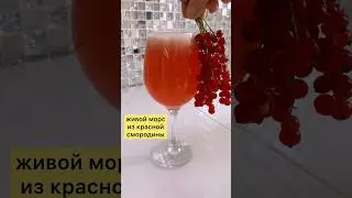 живой морс из красной смородины #medicalmedium #vegan