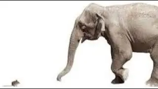 The Large And Small Of It