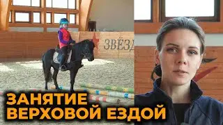 Horse riding lessons. Beginner level.