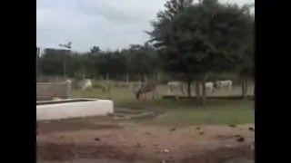 video2