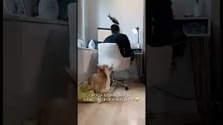 ЧТО ОН ДЕЛАЕТ?😂😂