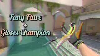 Fang Flare + Gloves Champion