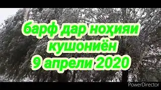 Барф 9 апрели 2020