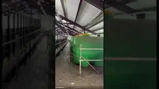 Коровник беспривязного содержания КРС в Республике Татарстан