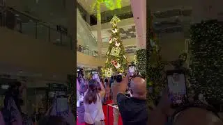 Christmas Tree Lighting 🎄🎄🎄❄️❄️❄️