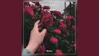 Medina