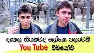 පලවෙනි යූ ටියුබ් වීඩියෝව (First youtube video)