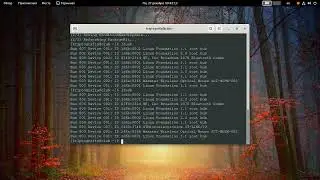 lsusb, Arch Linux, install usbutils, nano обзор.