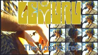 Orchestra GOLD * Analog World Psych from Mali :: 🔆 :: LEMURU