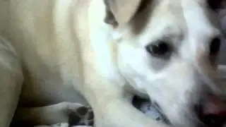 Sandi!!