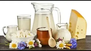 АЛЛЕРГИЯ НА КОРОВЬЕ МОЛОКО