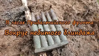 В лесах Прибалтийского фронта. Вокруг небитого блиндажа. / In the forests of the Baltic front.