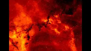 Таксист не повез маму с ребенком, История из жизни 