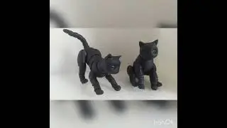BJD Doll sphinx cat black / БЖД кукла шарнирная котенок британец черный