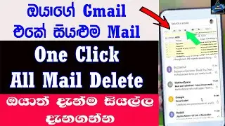 How To Delete All Messages on Gmail at one Clicks In Sinhala | Sri Network