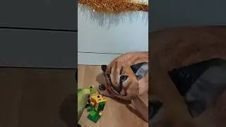 кто поломал Лего фигурки БМП? 