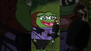 Chat Casts Hex🐸 #warcraft