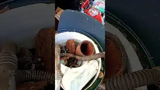 5 июня 2024 г.