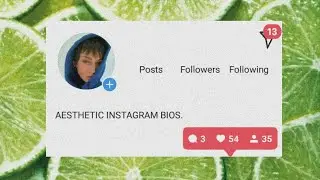 AESTHETIC INSTAGRAM BIOS