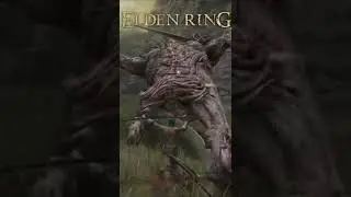 Elden Ring | Sweet Revenge 100 hours later