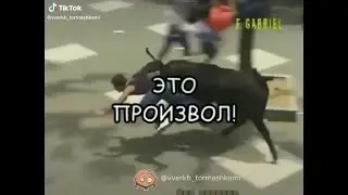 Это произвол!!Смешные животные/Говорящие животные/юмор 2022/юмор с животными/приколы