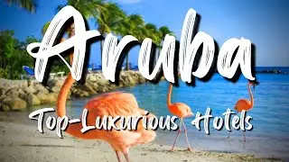 Discover Paradise: Top 10 Hotels in Aruba for Your Dream Caribbean Getaway!