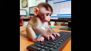 chubby small cute monkey is typing test.😃😃#aiart #AI #Lovely #shorts