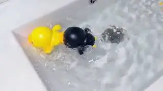 2022 New Baby Shower Toys