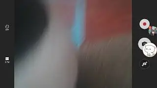 Is this a Rain Video Or A Dog Video??????????????? I have no clue..
