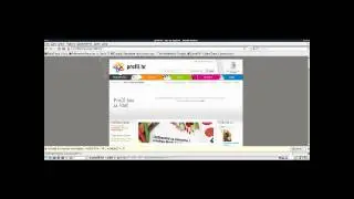 Cross Site Scripting or XSS Explaind by H3X