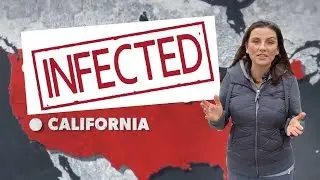 Калифорния готовится к эпидемии | Коронавирус ударил по США